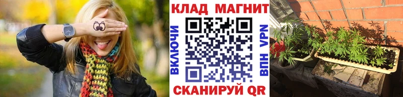 Продажа наркотиков Ленинградская Галлюциногенные грибы  Мефедрон  ГАШ 