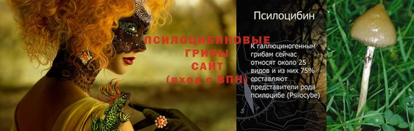 гашиш Майский