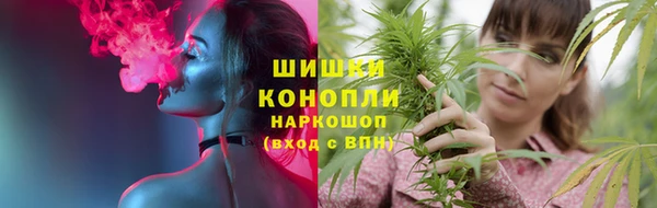 гашик Магас
