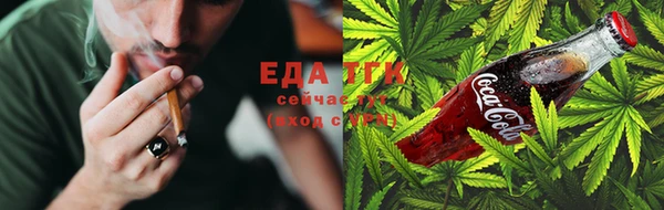гашик Магас