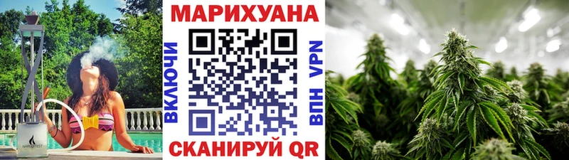 Канабис семена  Ленинградская 